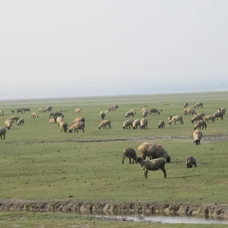 Logis Restaurant Le Gue Du Holme Hotel