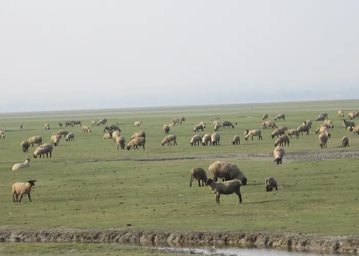 ホテル Logis Restaurant Le Gue Du Holme 3*