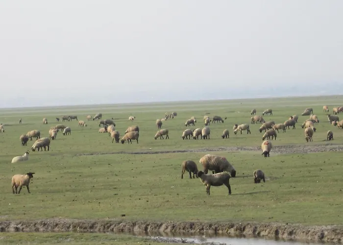 Logis Restaurant Le Gue Du Holme Hotel